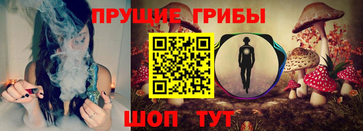 Галлюциногенные грибы мицелий  Псилоцибиновые грибы GOLDEN TEACHER  Вход с VPN  Грозный 